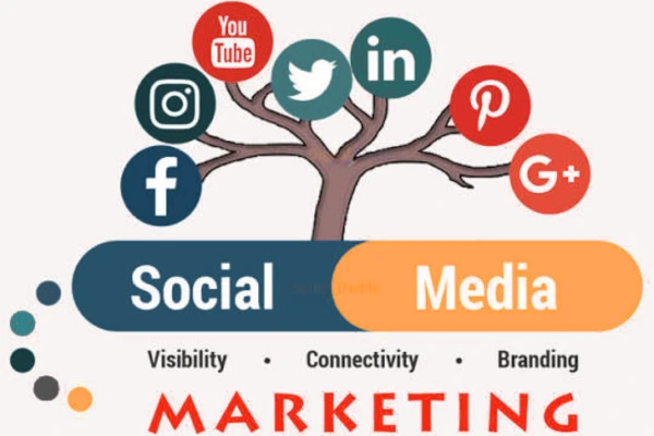 Social media marketing illustration showing social media platforms connected through a tree, representing visibility, connectivity and branding.